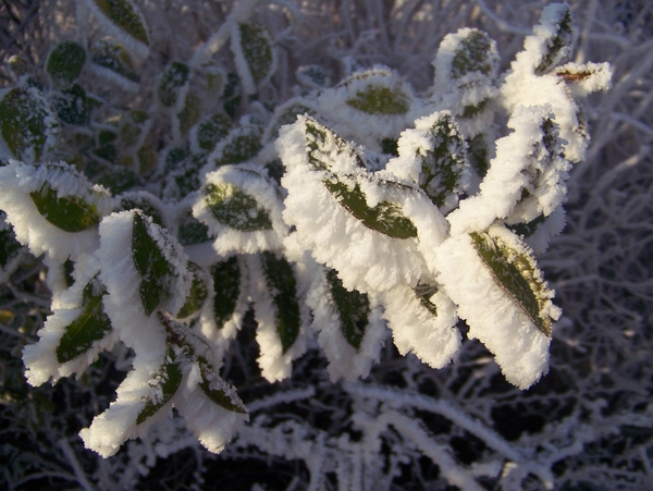 Winter in Gaasterland