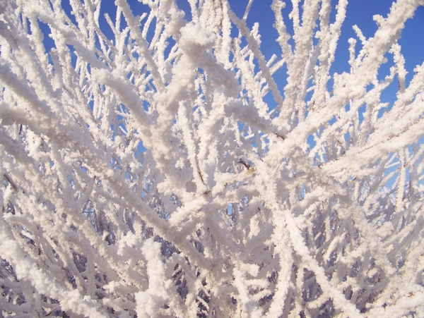 Winter in Gaasterland