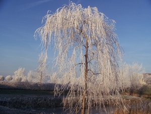 Winter in Gaasterland