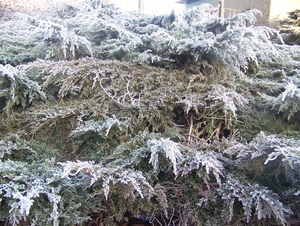Winter in Gaasterland