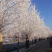 Winter in Gaasterland