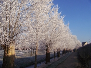 Winter in Gaasterland