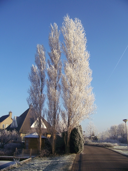 Winter in Gaasterland