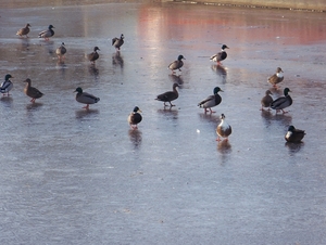 Winter in Gaasterland