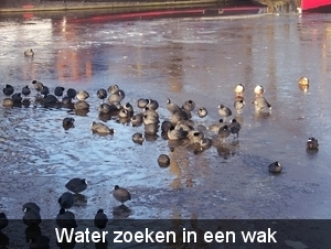 Winter in Gaasterland