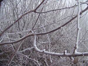 Winter in Gaasterland