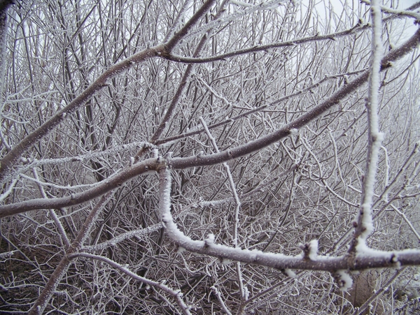 Winter in Gaasterland