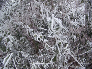 Winter in Gaasterland