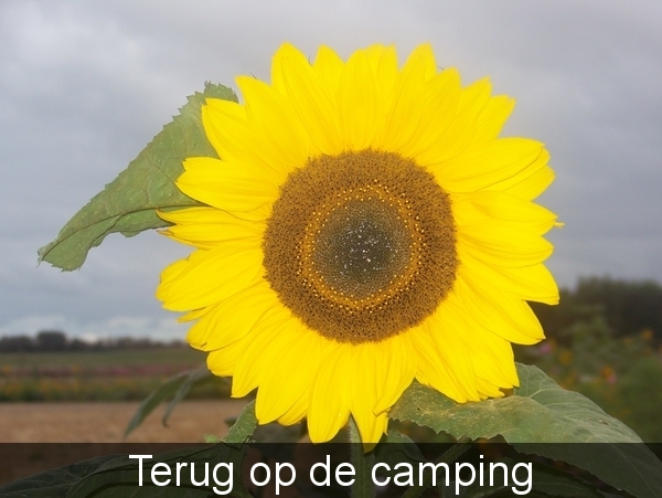 Zeeland