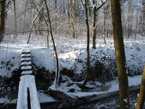 DSC02414