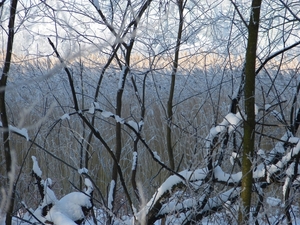DSC02419