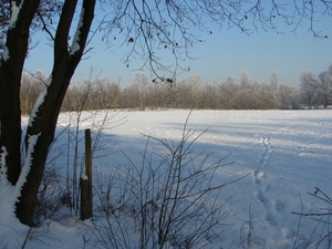 DSC02434