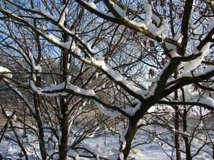 DSC02436