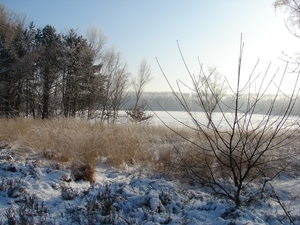DSC02438