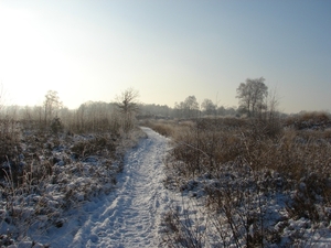 DSC02444