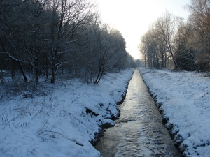 DSC02448
