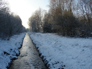 DSC02449