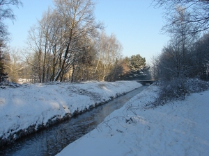 DSC02451
