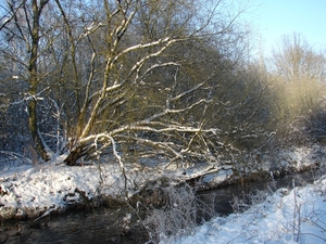 DSC02453