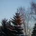 S8002076 (600 x 450)ver