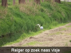 Mooi Gaasterland - Sloten