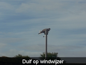 Sloten en omgeving