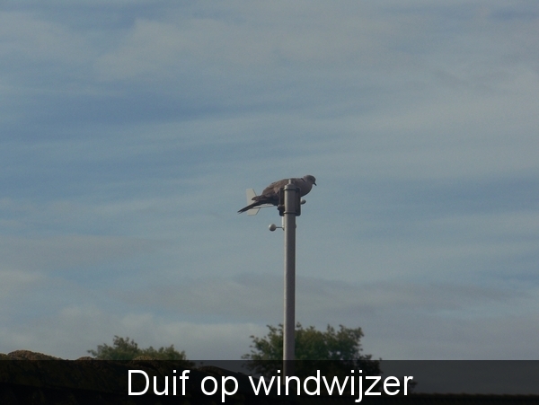 Sloten en omgeving