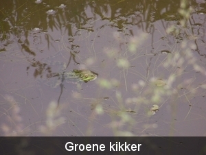 Sloten en omgeving