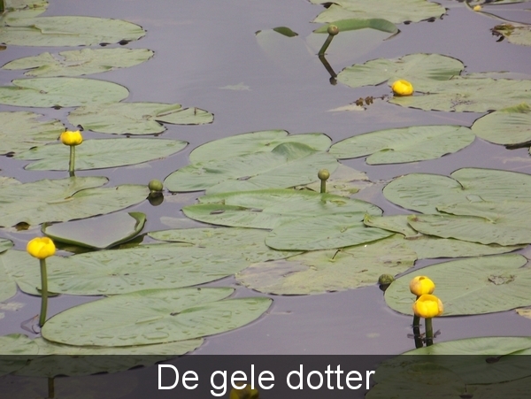 Sloten en omgeving