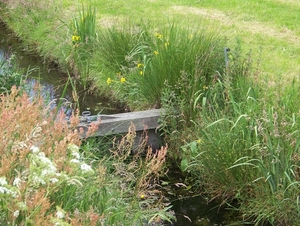 Sloten en omgeving
