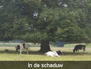 Sloten en omgeving
