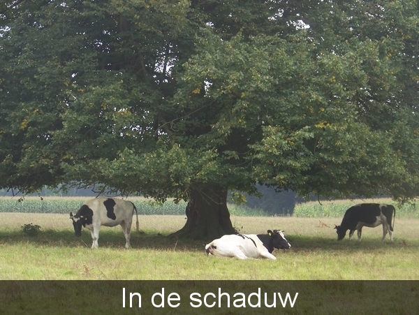 Sloten en omgeving