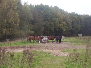 Sloten en omgeving