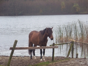 Sloten en omgeving