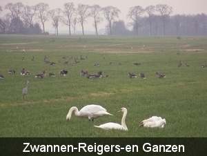 Sloten en omgeving