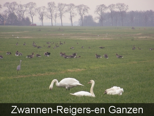Sloten en omgeving
