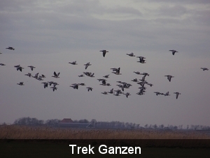 Sloten en omgeving