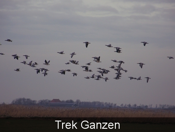 Sloten en omgeving