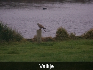 Sloten en omgeving