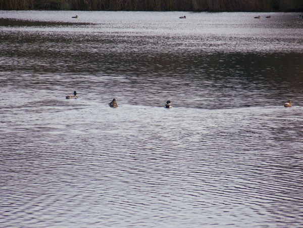 Sloten en omgeving