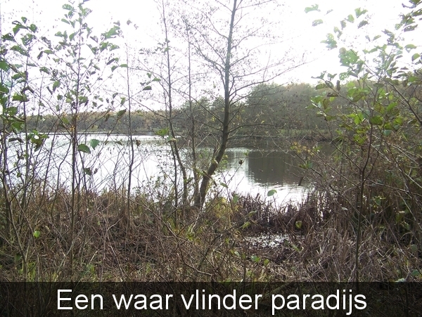 Sloten en omgeving