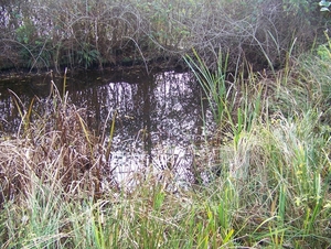 Sloten en omgeving