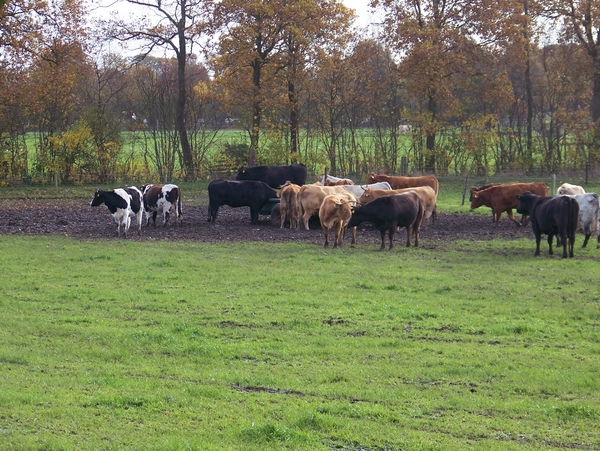 Sloten en omgeving