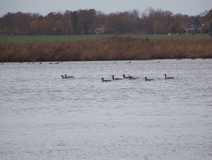 Sloten en omgeving