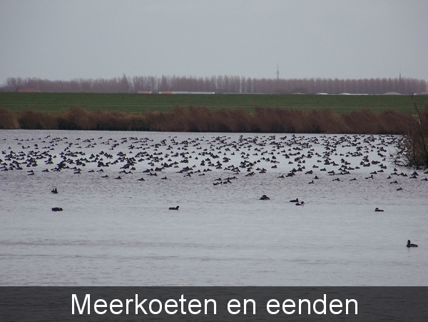 Sloten en omgeving