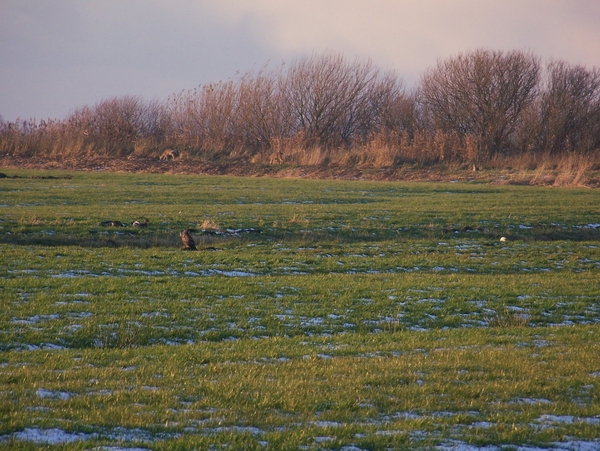 Sloten en omgeving