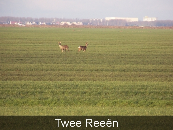 Sloten en omgeving
