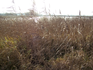 Sloten en omgeving