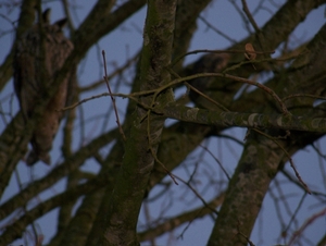 Sloten en omgeving