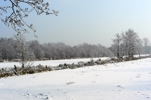 DSCN5838